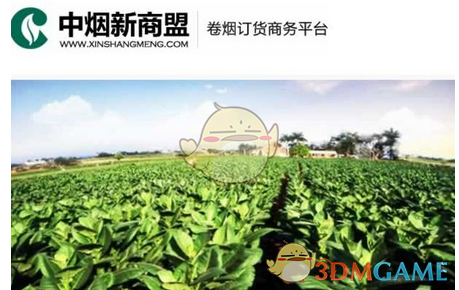 黄仁勋首次回应DeepSeek冲击波：市场理解完全反了，本质上利于AI计算需求